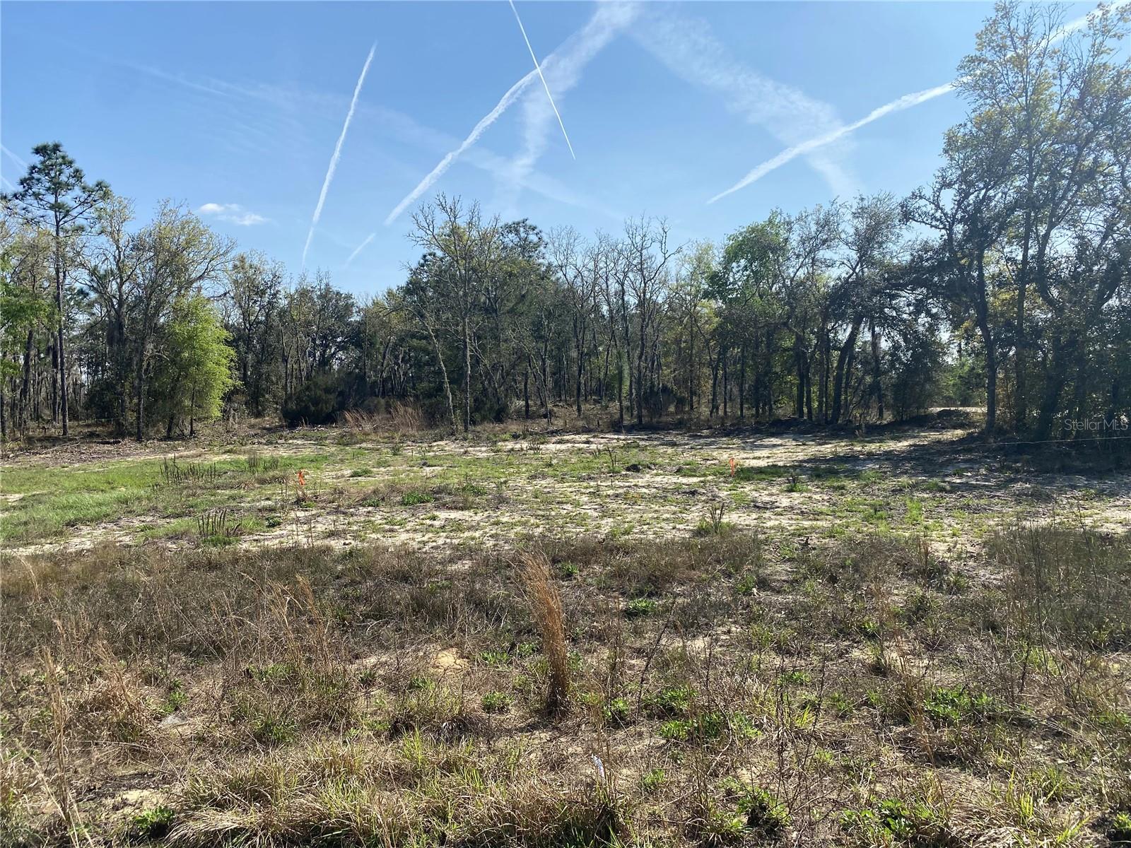 Listing Details for  150th Lane , WILLISTON, FL 32696