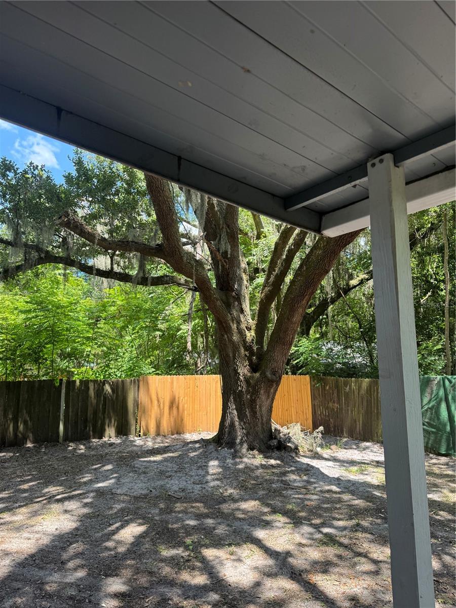 Image 18 of 20 For 1623 16th Way