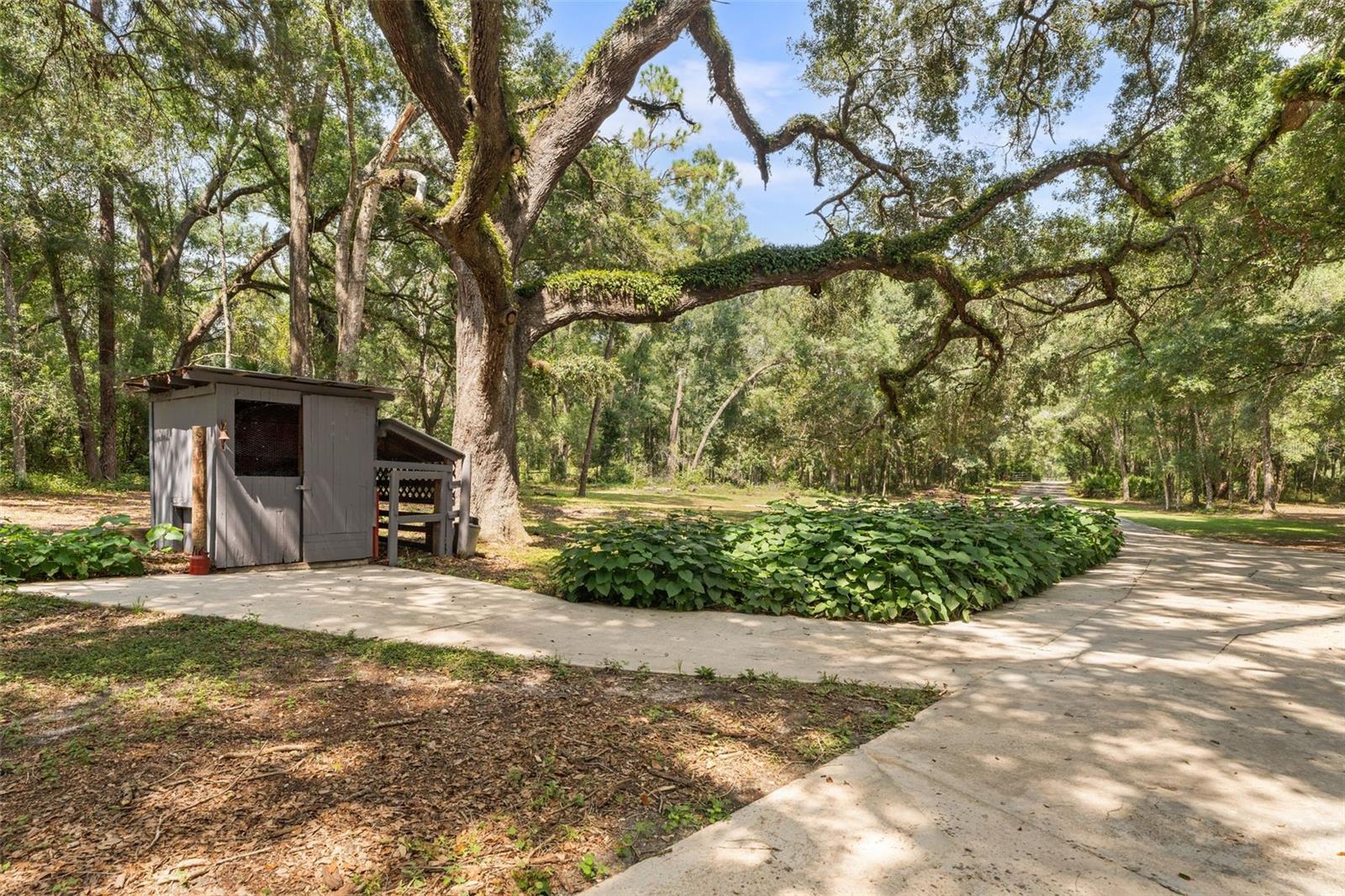 Image 38 of 44 For 7850 178 Terrace