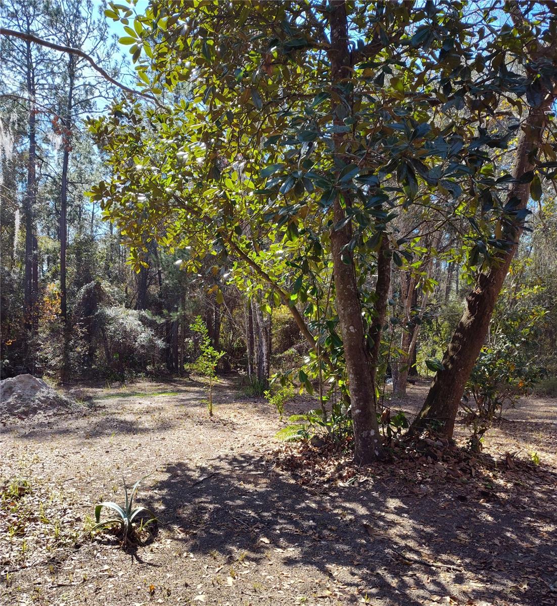 Image 11 of 27 For 21215 111th Avenue