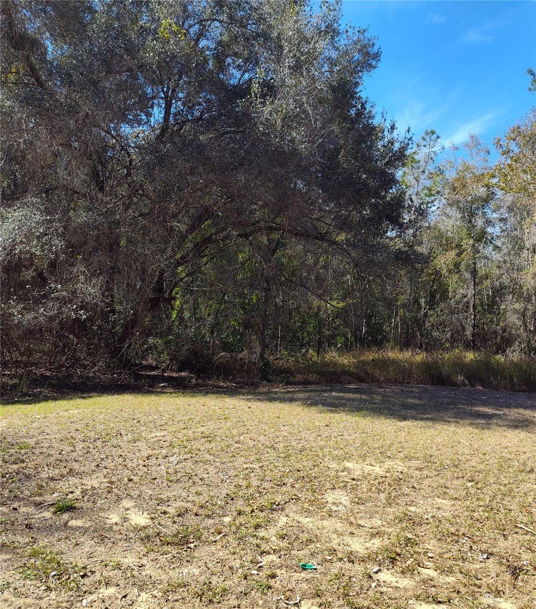 Image 26 of 27 For 21215 111th Avenue