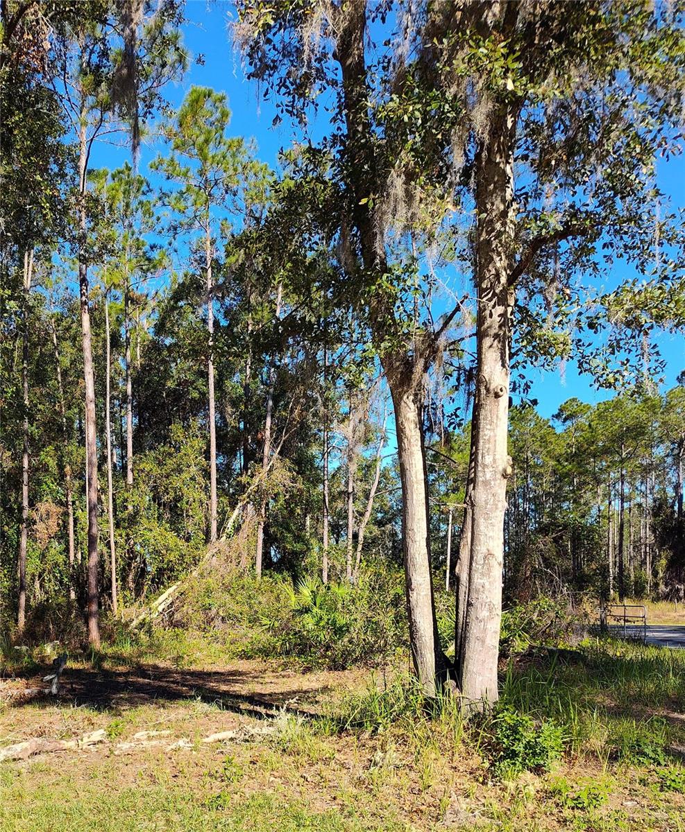 Image 8 of 27 For 21215 111th Avenue