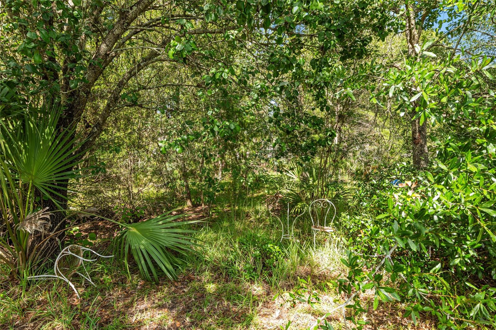 Image 58 of 74 For 11123 53rd Circle