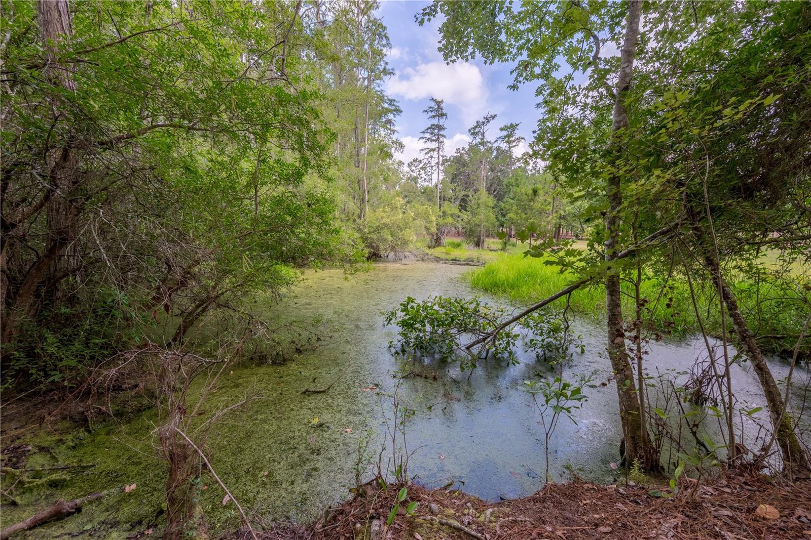 Image 56 of 100 For 9566 114th Terrace