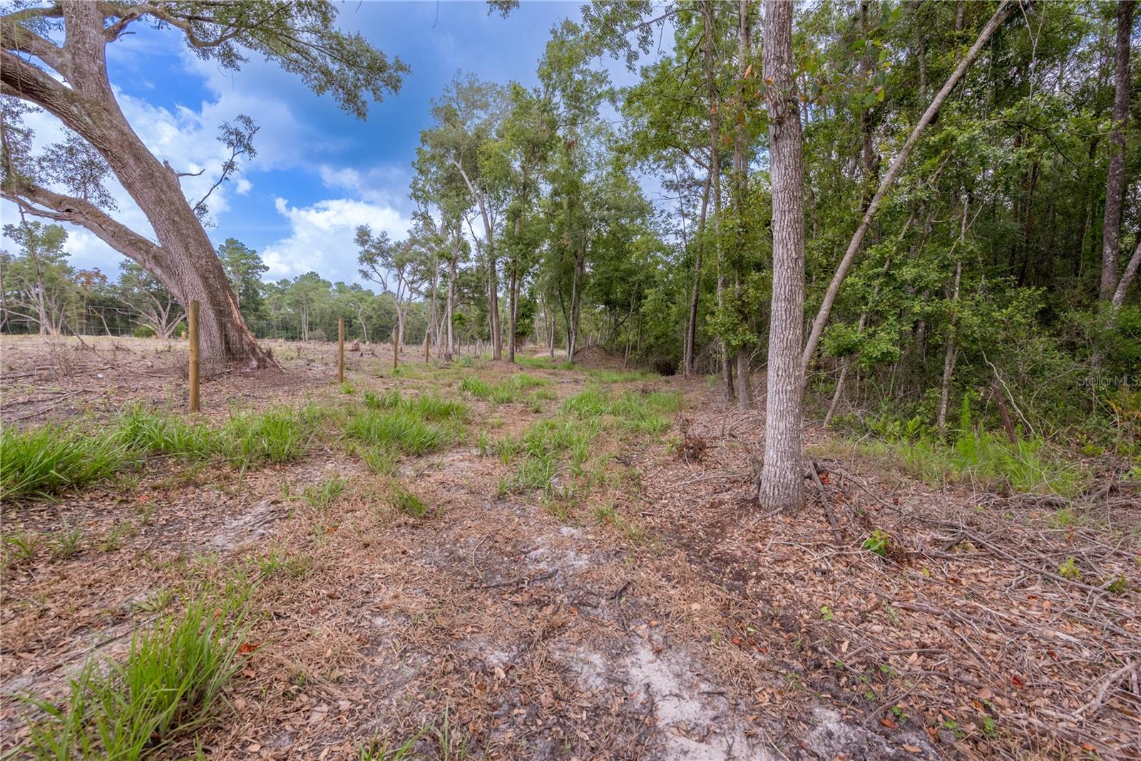 Image 58 of 100 For 9566 114th Terrace