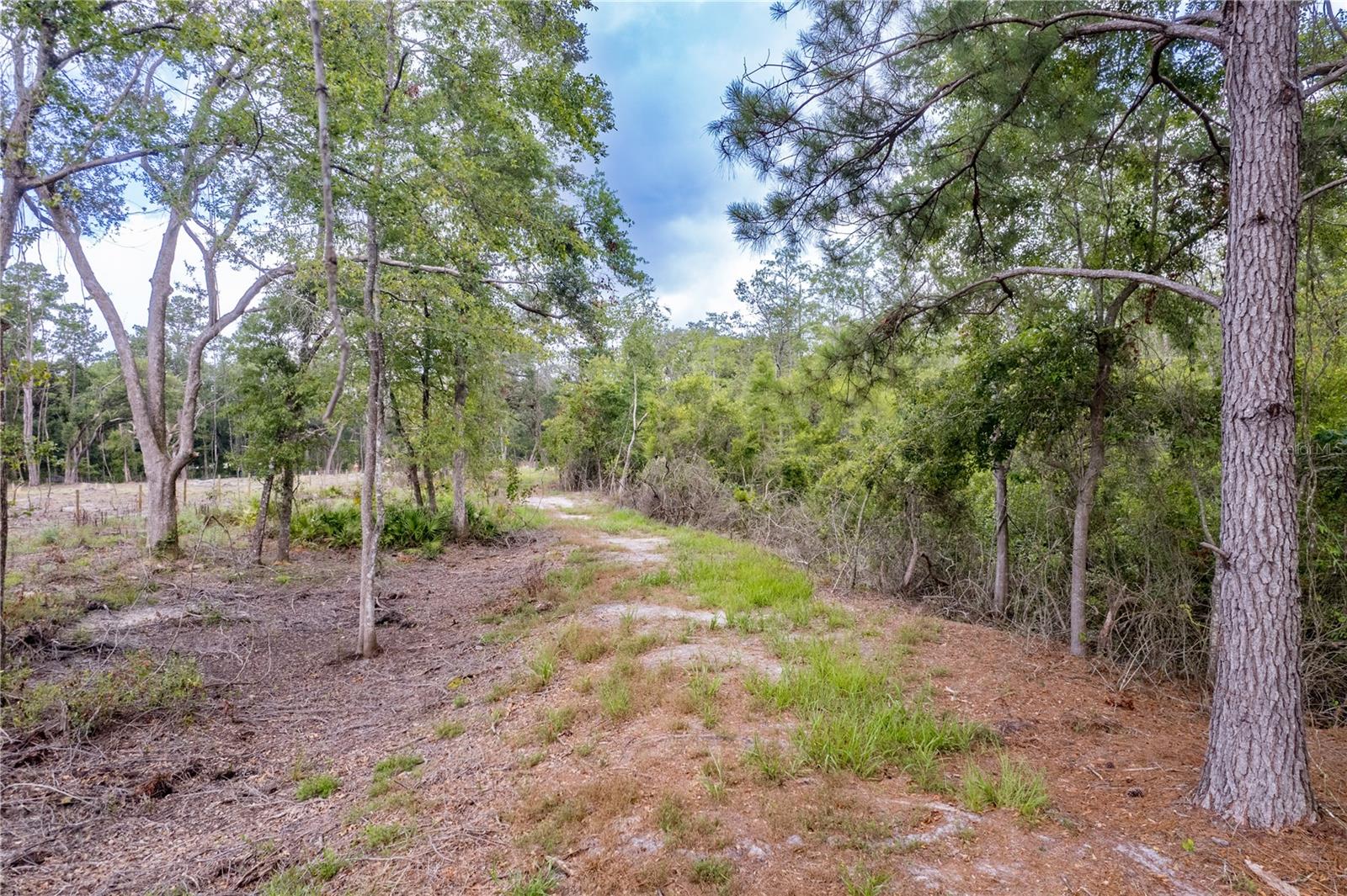 Image 60 of 100 For 9566 114th Terrace