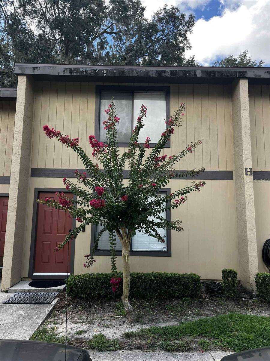 Details for 2300 43rd Street H3, GAINESVILLE, FL 32607