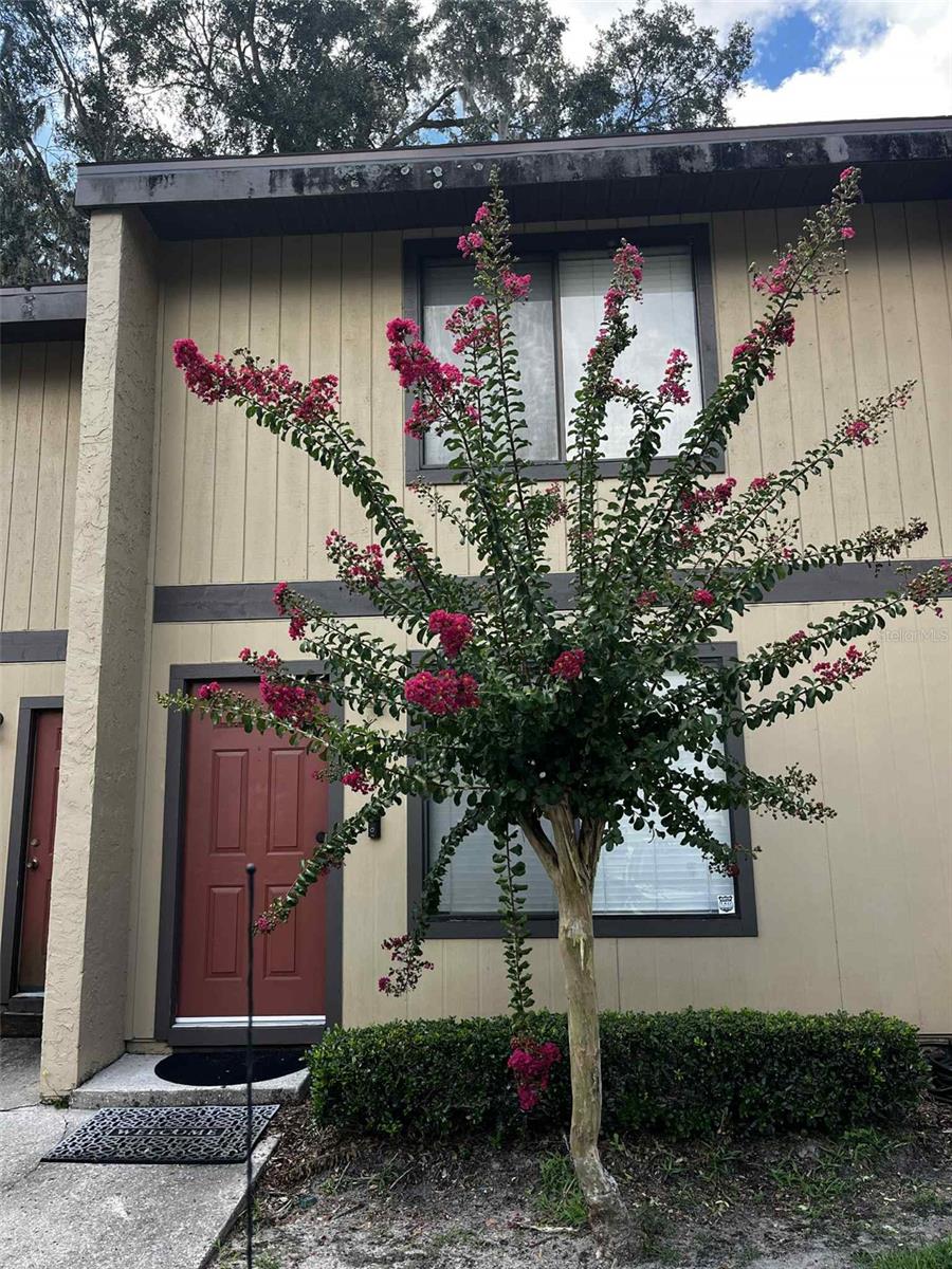 Image 18 of 19 For 2300 43rd Street H3