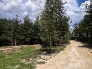 Image 35 of 68 For 4899 36th Street