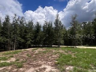 Image 36 of 68 For 4899 36th Street