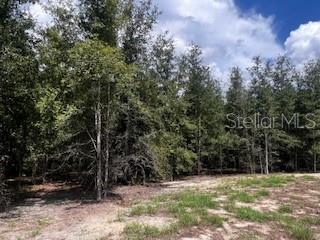 Image 37 of 68 For 4899 36th Street