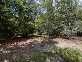 Image 38 of 68 For 4899 36th Street