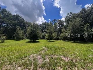 Image 41 of 68 For 4899 36th Street