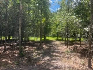 Image 42 of 68 For 4899 36th Street