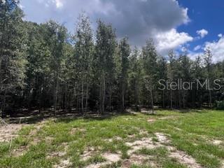 Image 43 of 68 For 4899 36th Street