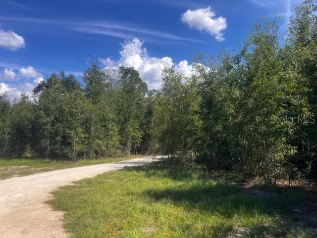 Image 47 of 68 For 4899 36th Street