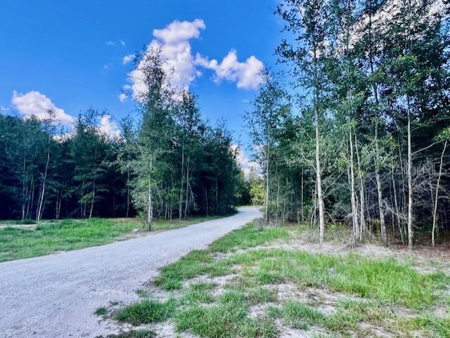 Image 53 of 68 For 4899 36th Street