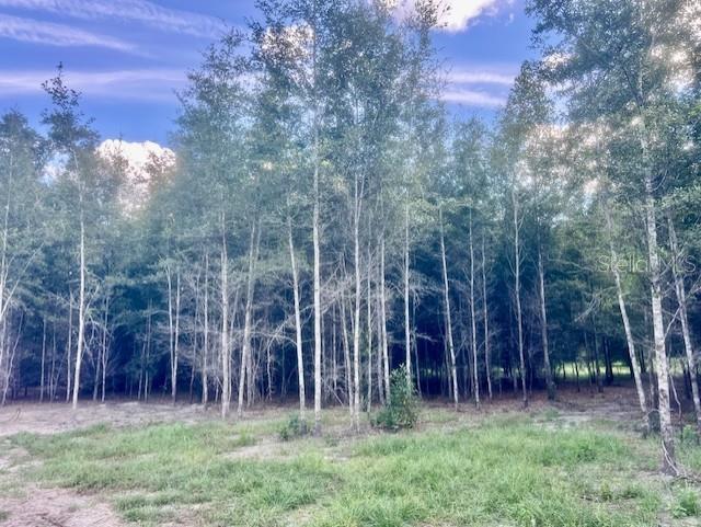 Image 54 of 68 For 4899 36th Street