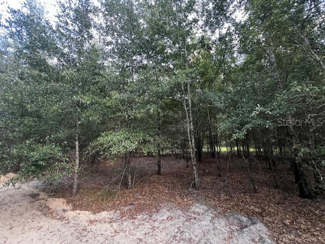 Image 55 of 68 For 4899 36th Street