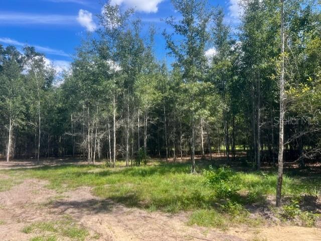 Image 56 of 68 For 4899 36th Street