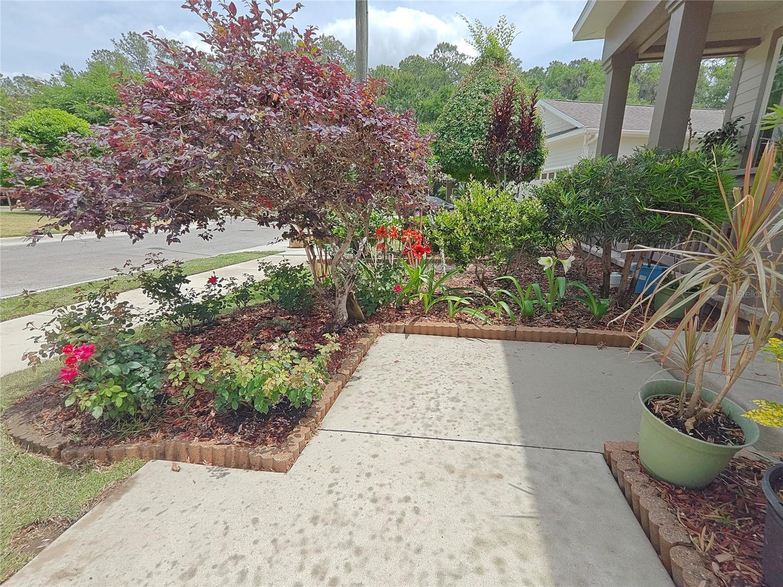 Image 33 of 33 For 7219 37th Road