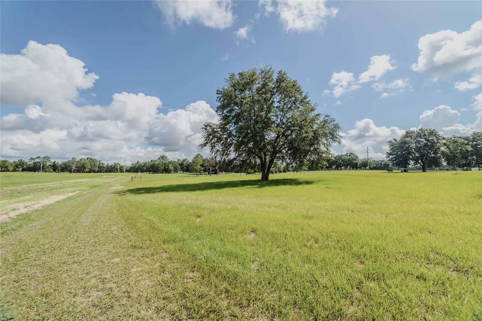 Image 6 of 39 For 950 Jordan Street