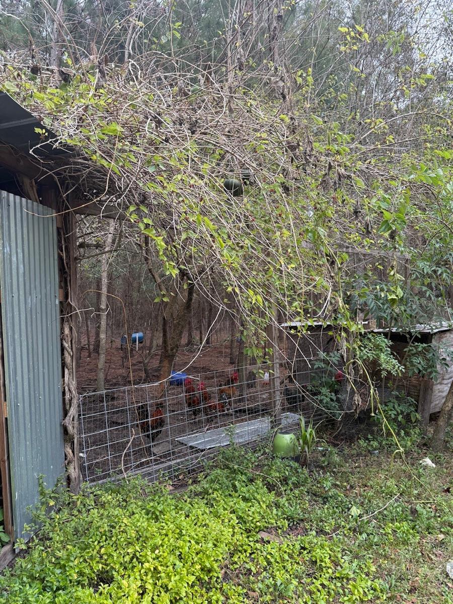 Image 21 of 28 For 23216 35th Avenue