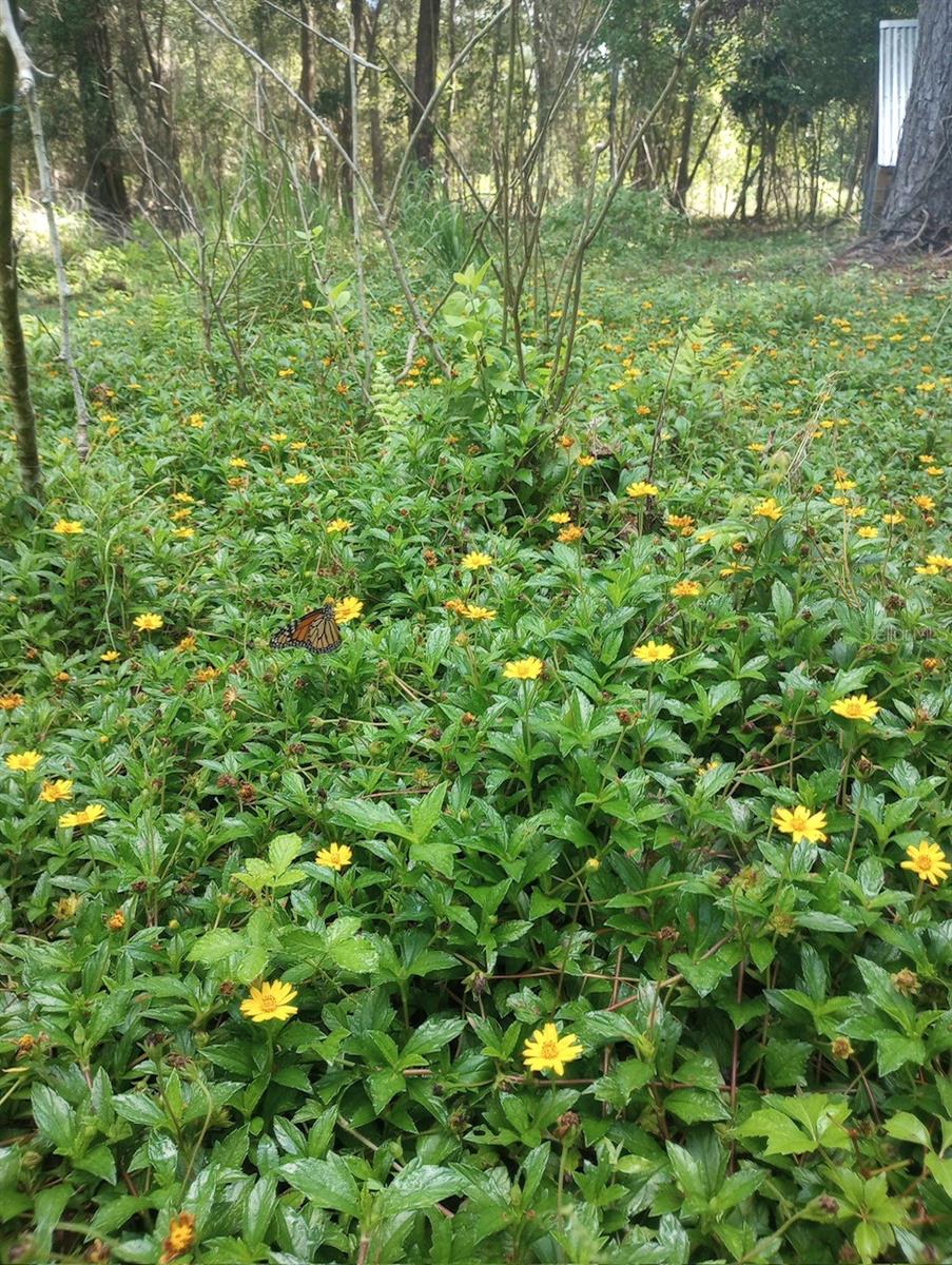 Image 24 of 28 For 23216 35th Avenue