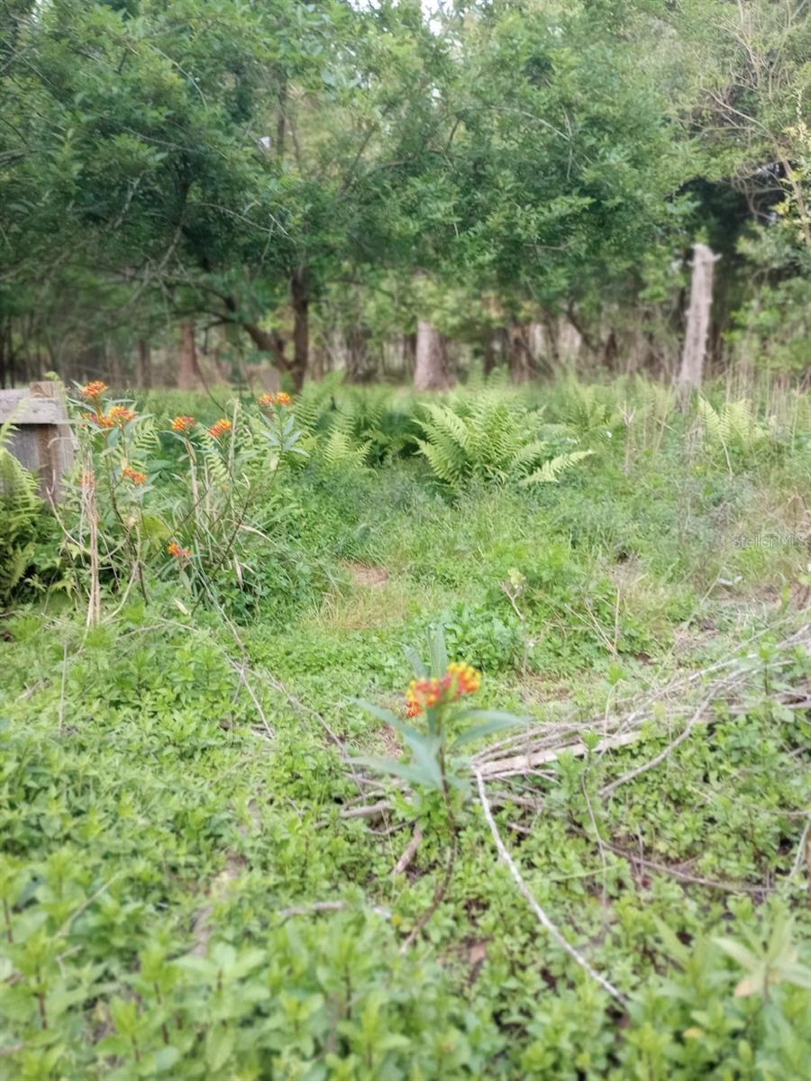 Image 25 of 28 For 23216 35th Avenue