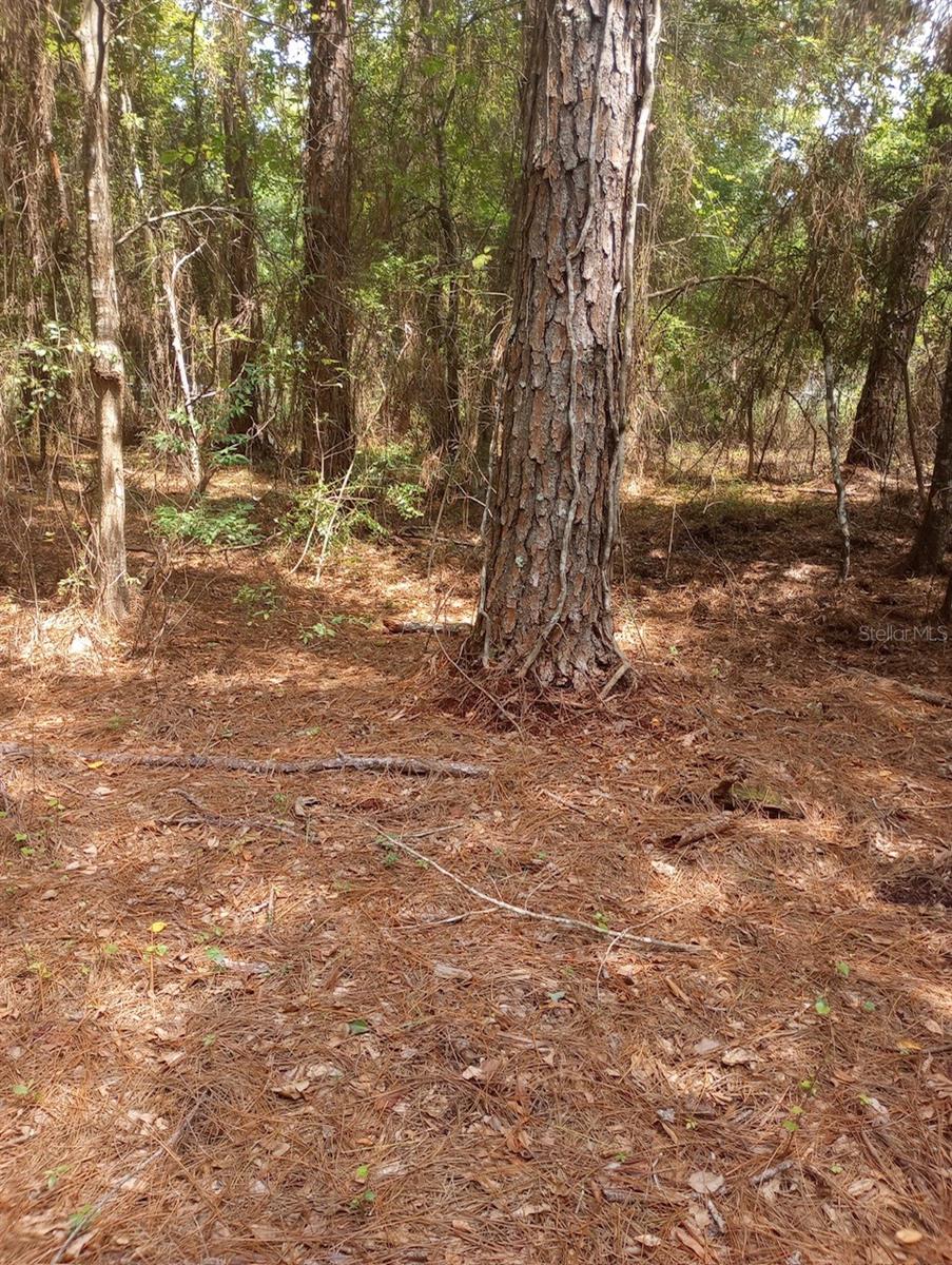 Image 26 of 28 For 23216 35th Avenue