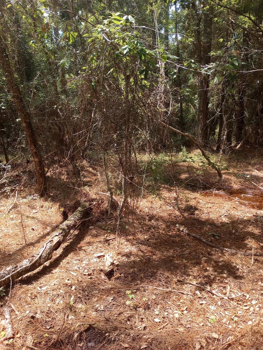 Image 28 of 28 For 23216 35th Avenue