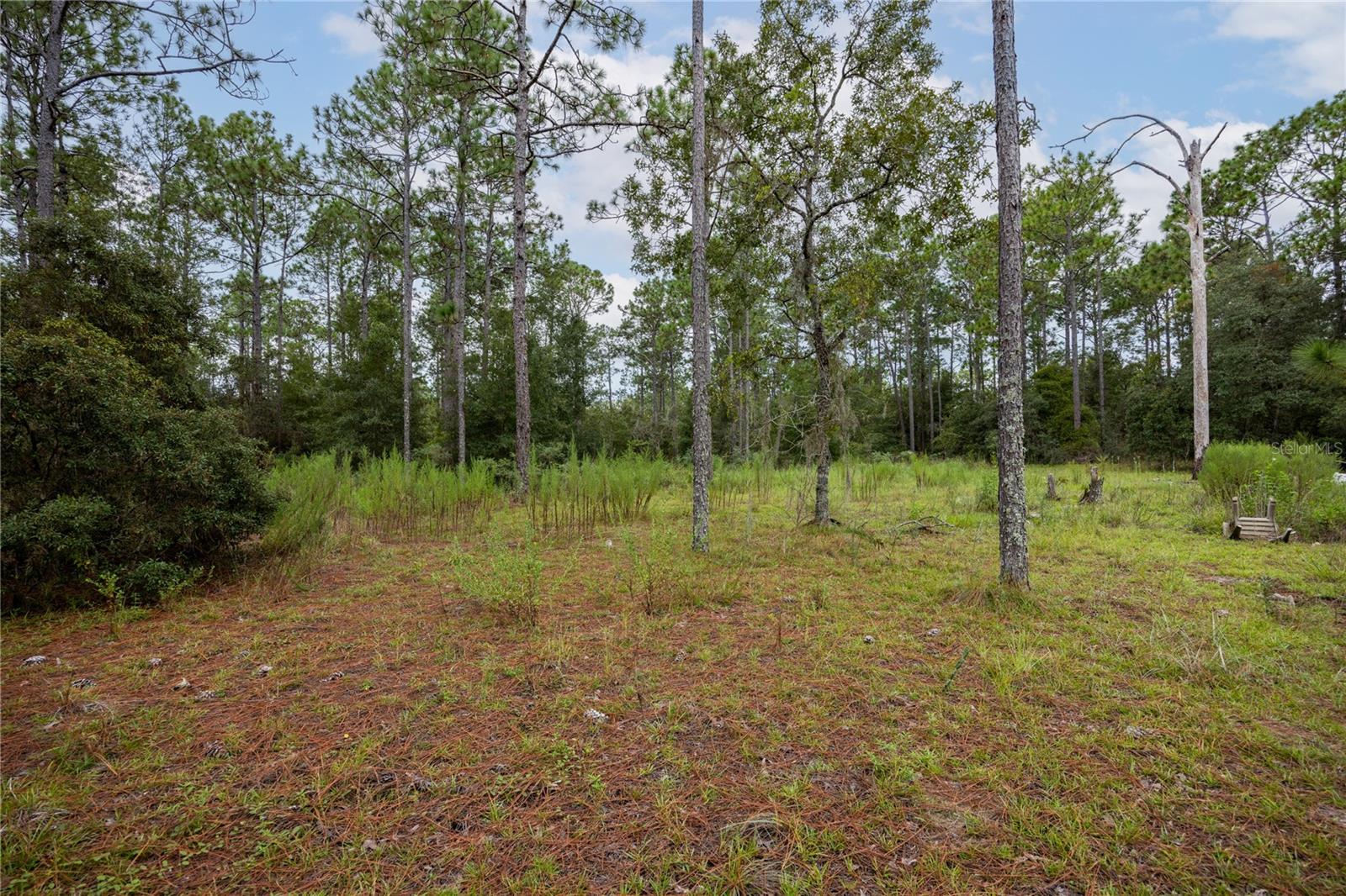 Image 11 of 15 For Tbd 150th Avenue