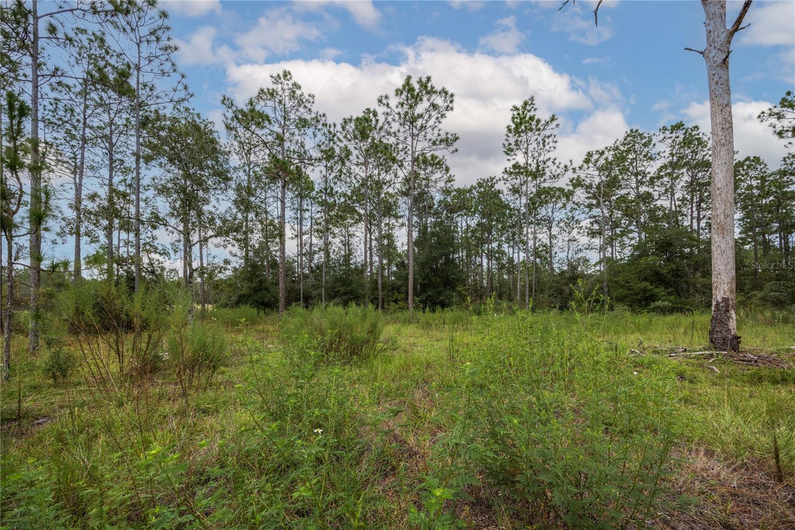 Image 12 of 15 For Tbd 150th Avenue