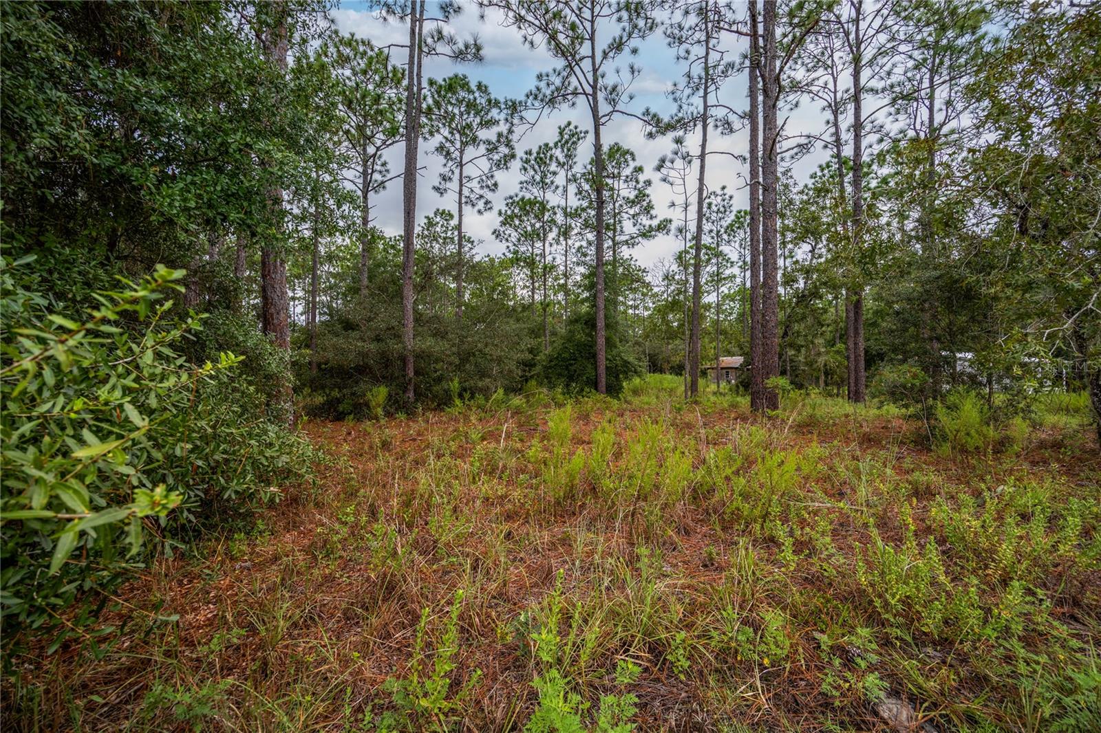Image 9 of 15 For Tbd 150th Avenue