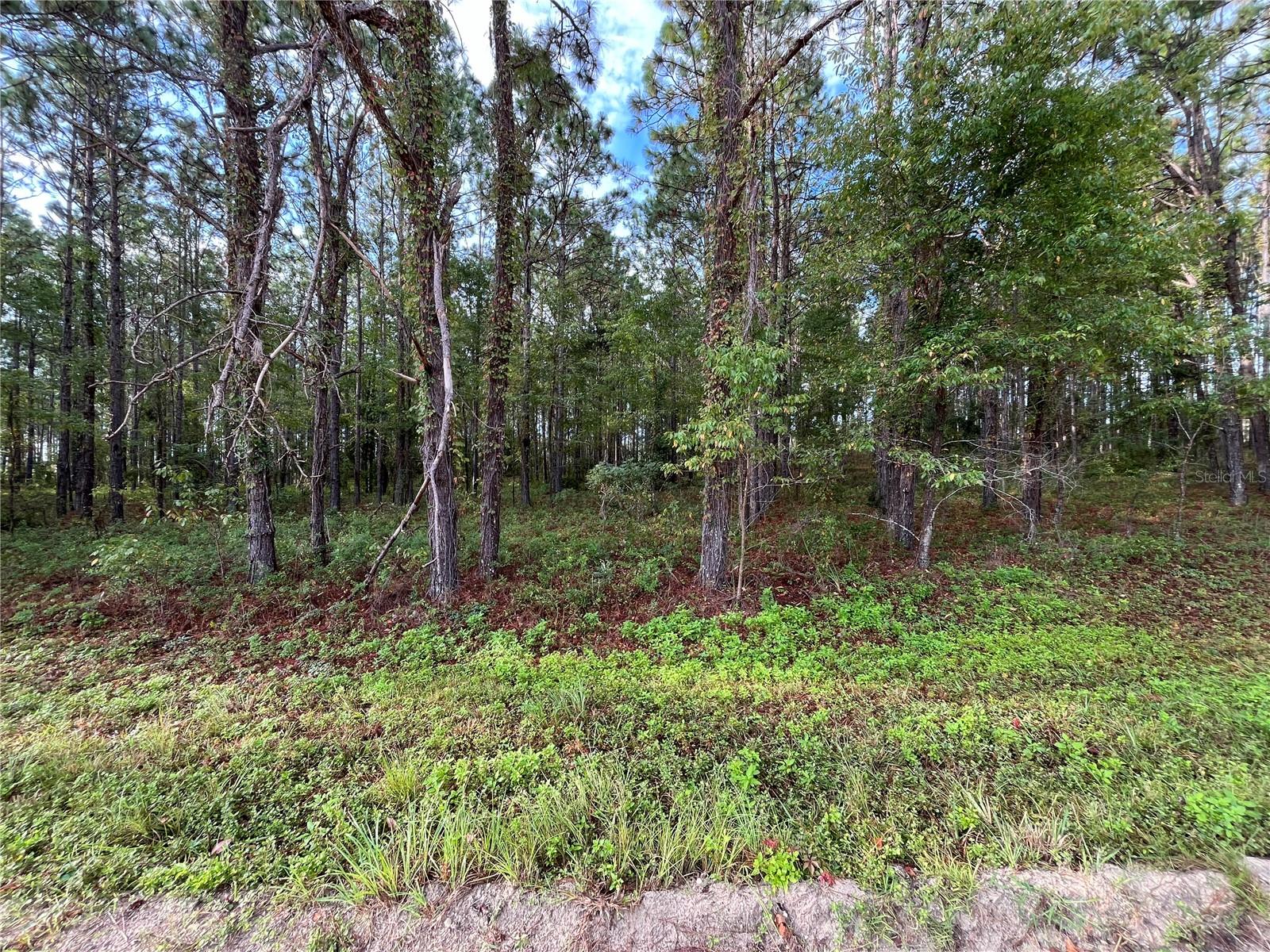 Image 8 of 11 For Tbd 54th Street