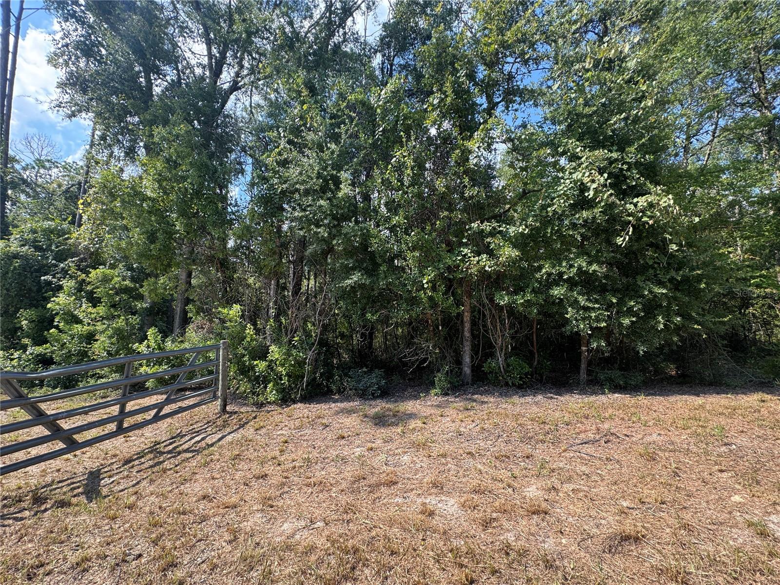 Image 4 of 9 For Lot 44 Kentucky Street