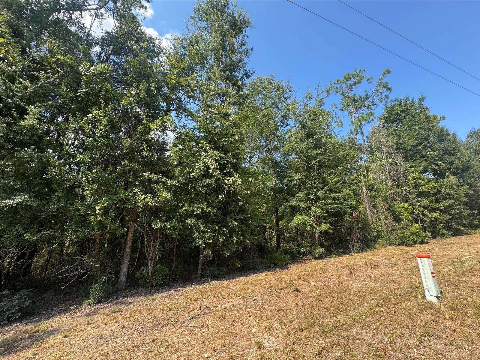 Image 5 of 9 For Lot 44 Kentucky Street