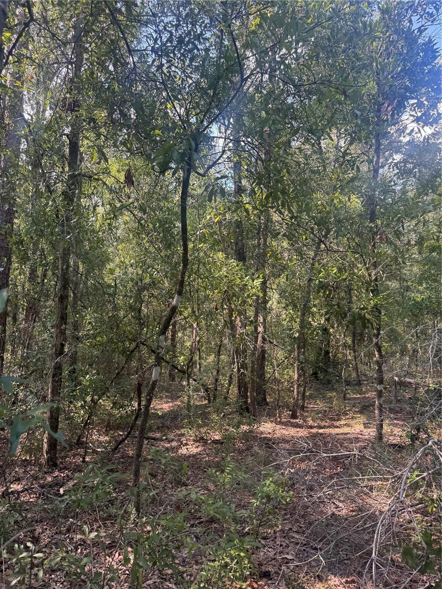 Image 9 of 9 For Lot 44 Kentucky Street