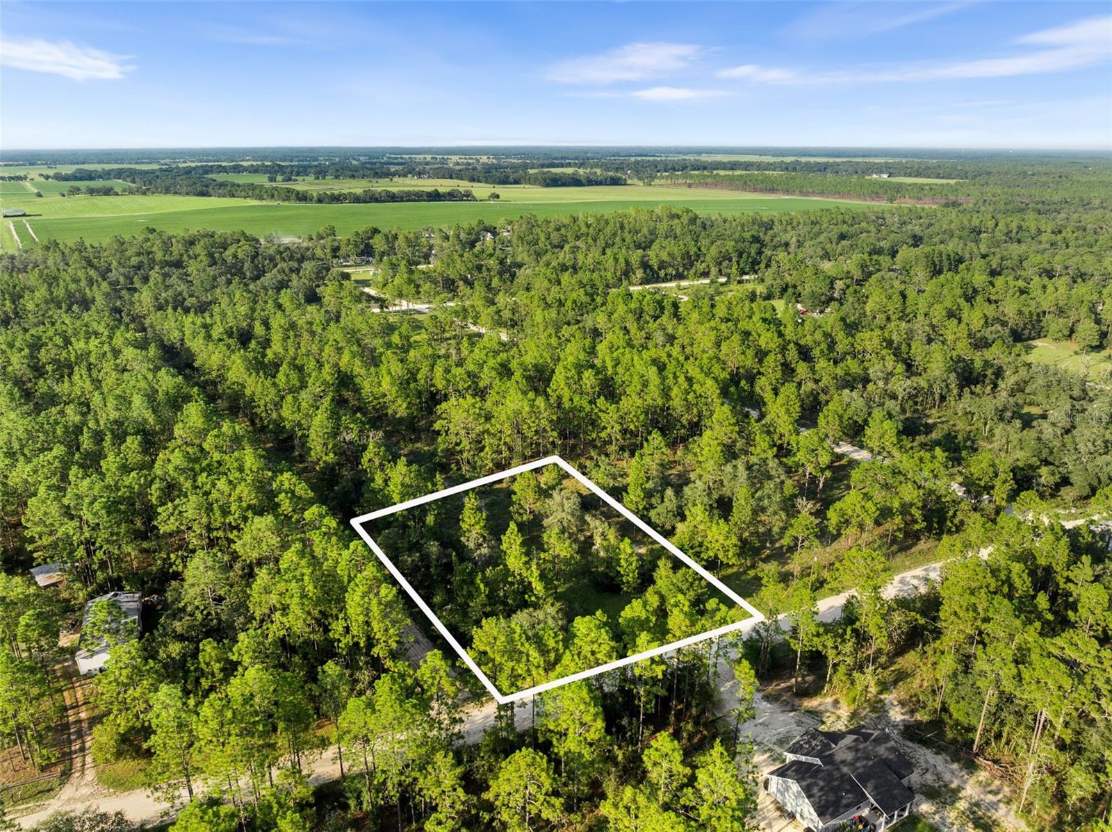 Details for  None  , WILLISTON, FL 32696