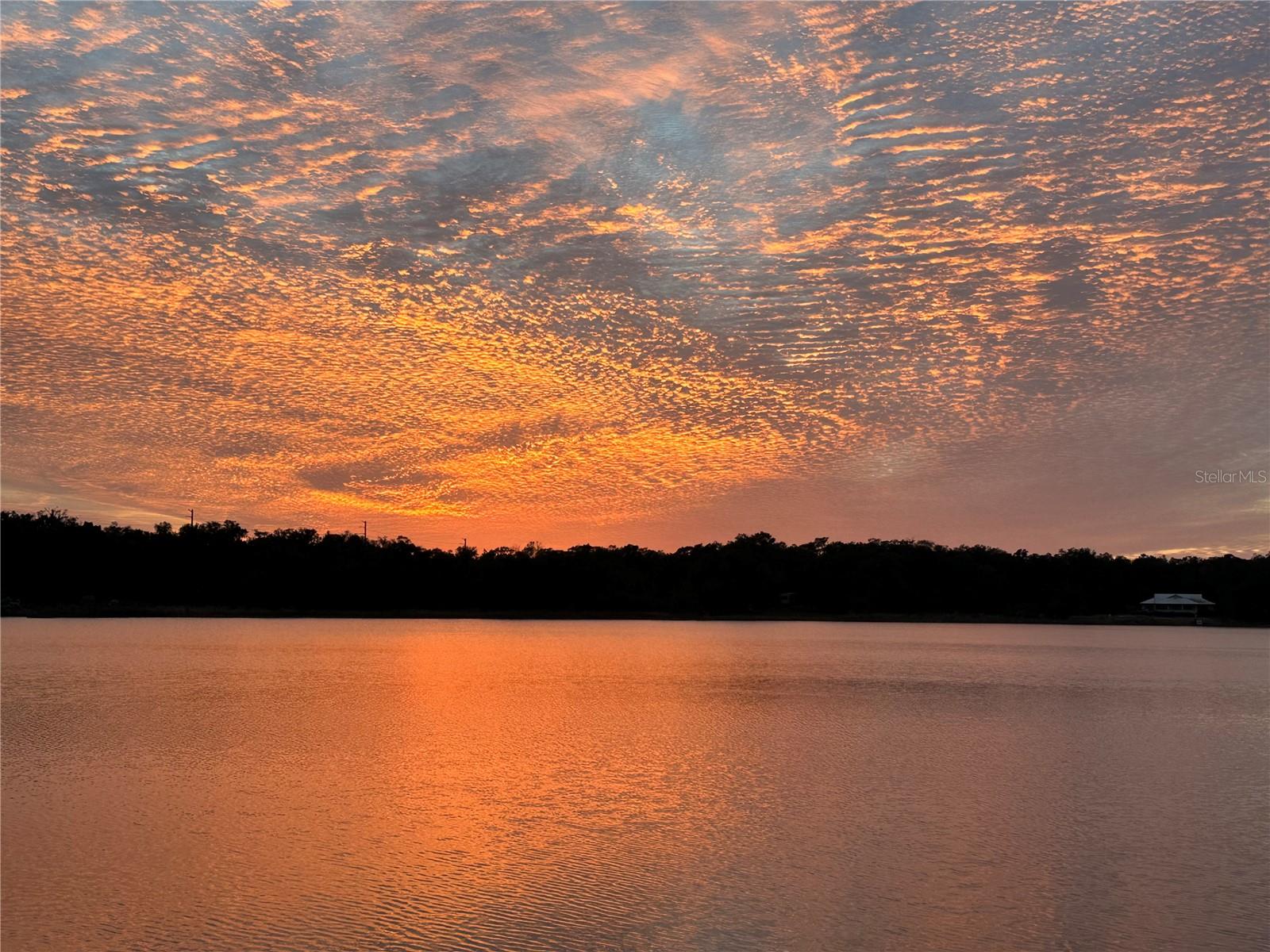 Image 62 of 62 For 113 Stock Avenue