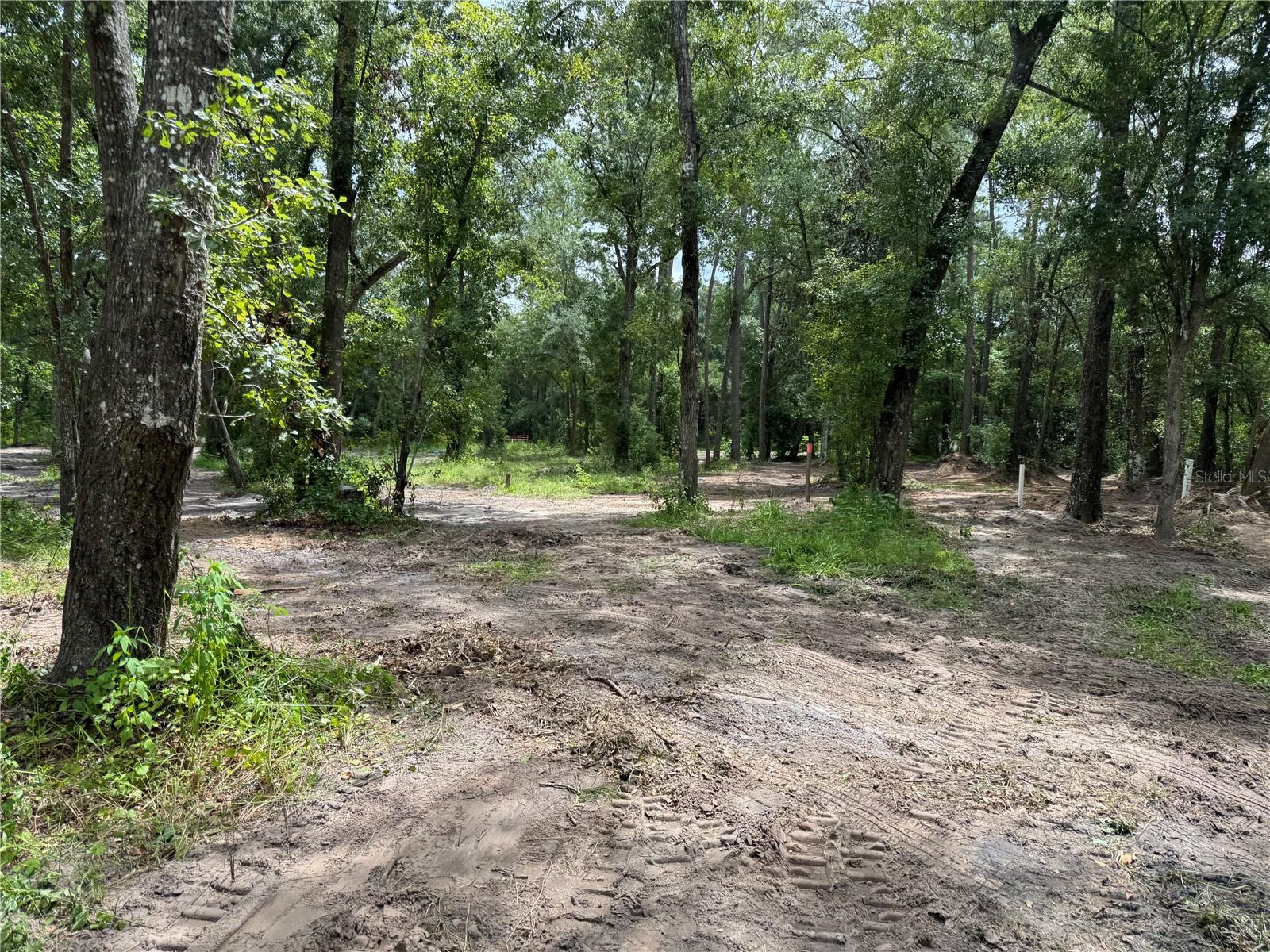 Details for 15221 143rd Terrace, WALDO, FL 32694