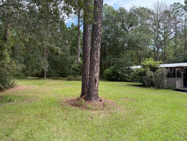 Image 3 of 21 For 20399 State Road 235
