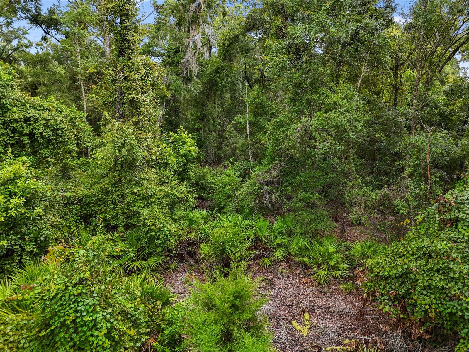 Image 14 of 14 For Tbd 00 47th Street