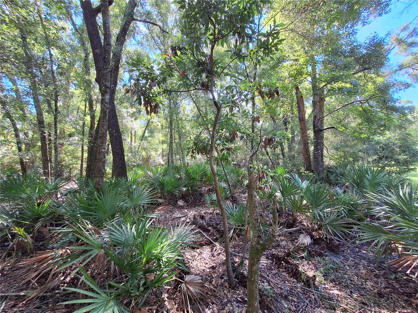 Image 6 of 14 For Tbd 00 47th Street