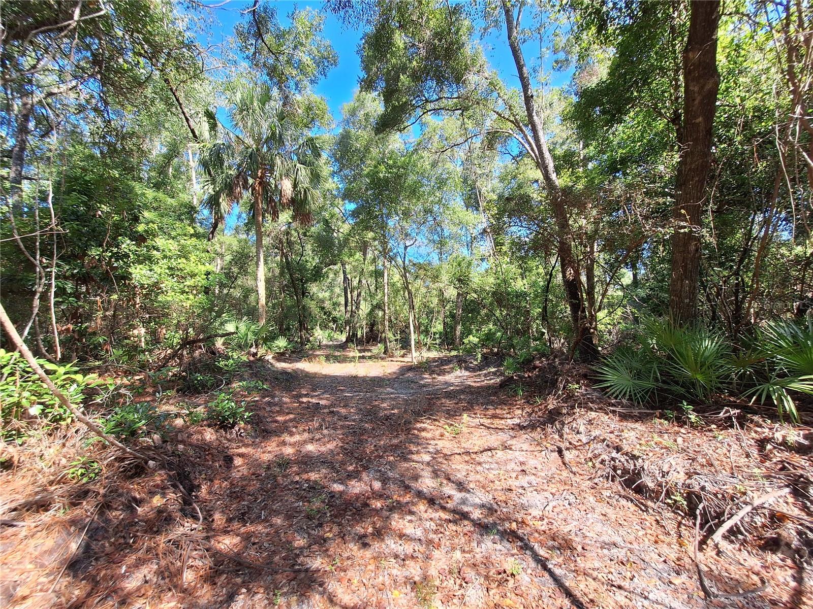 Image 7 of 14 For Tbd 00 47th Street