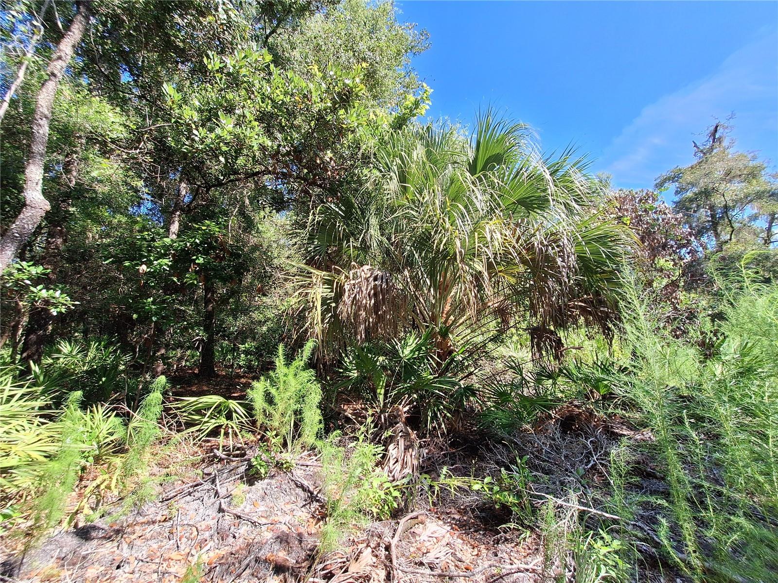 Image 8 of 14 For Tbd 00 47th Street