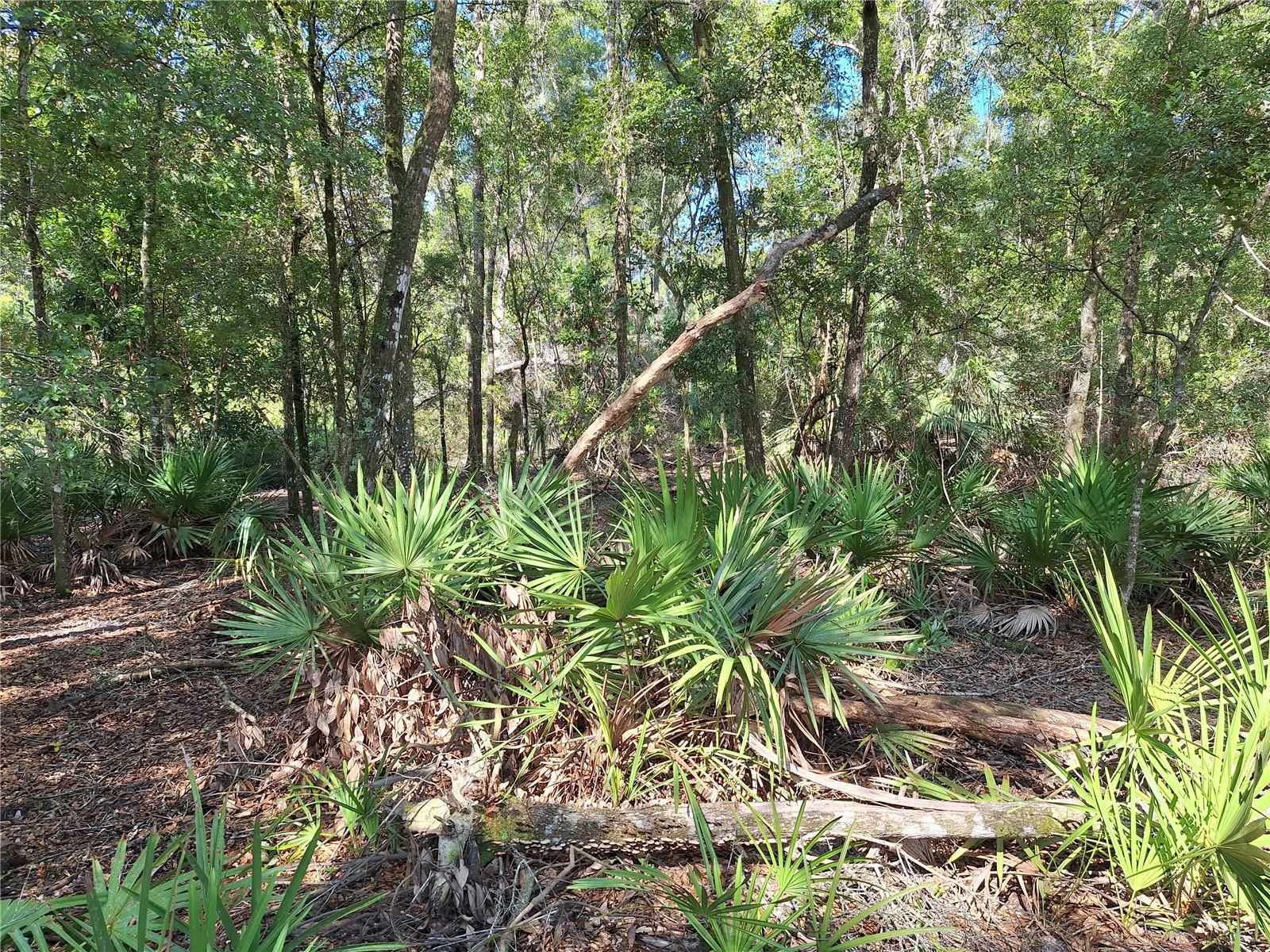 Image 9 of 14 For Tbd 00 47th Street