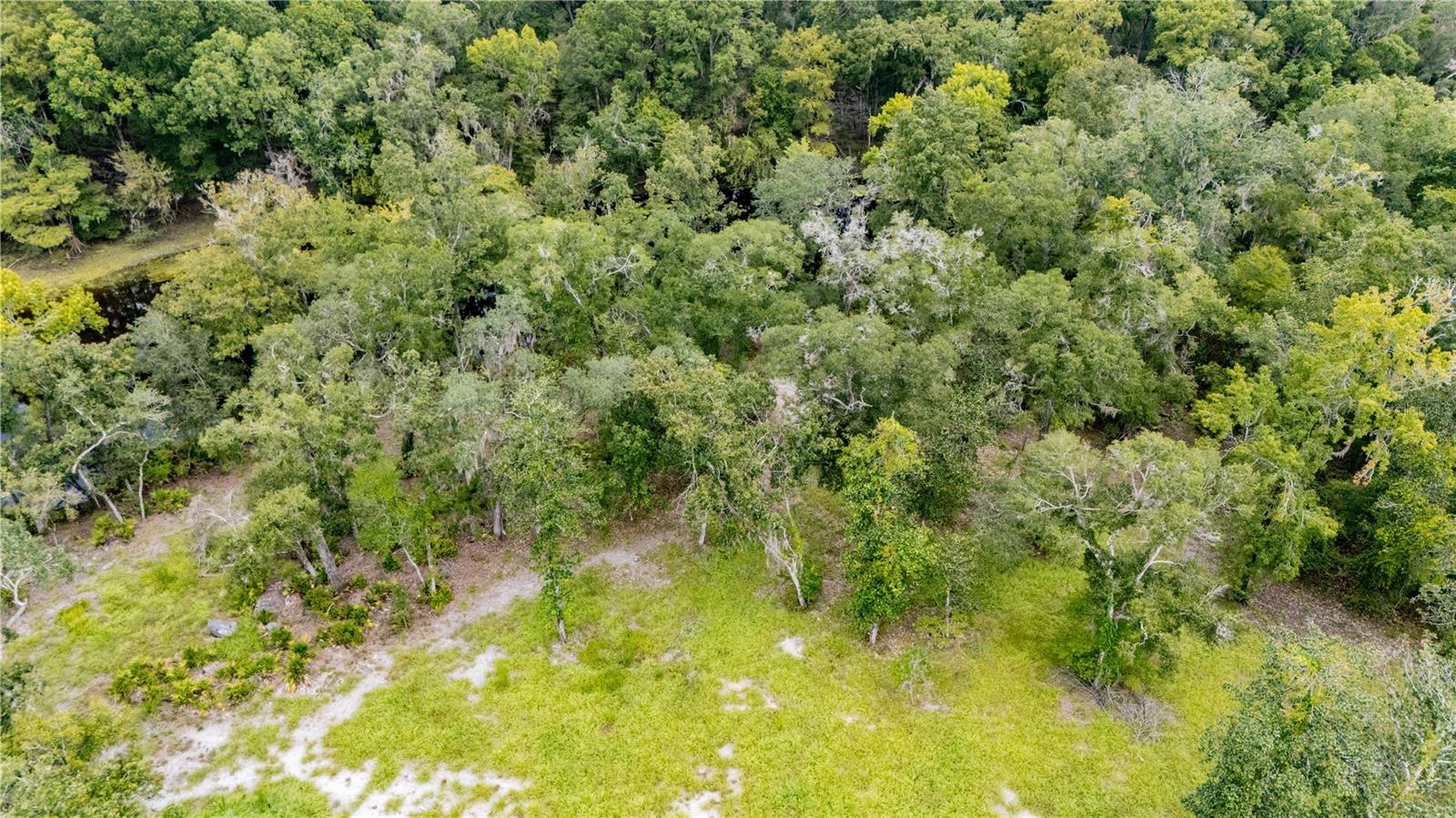 Image 15 of 24 For 26840 206th Place