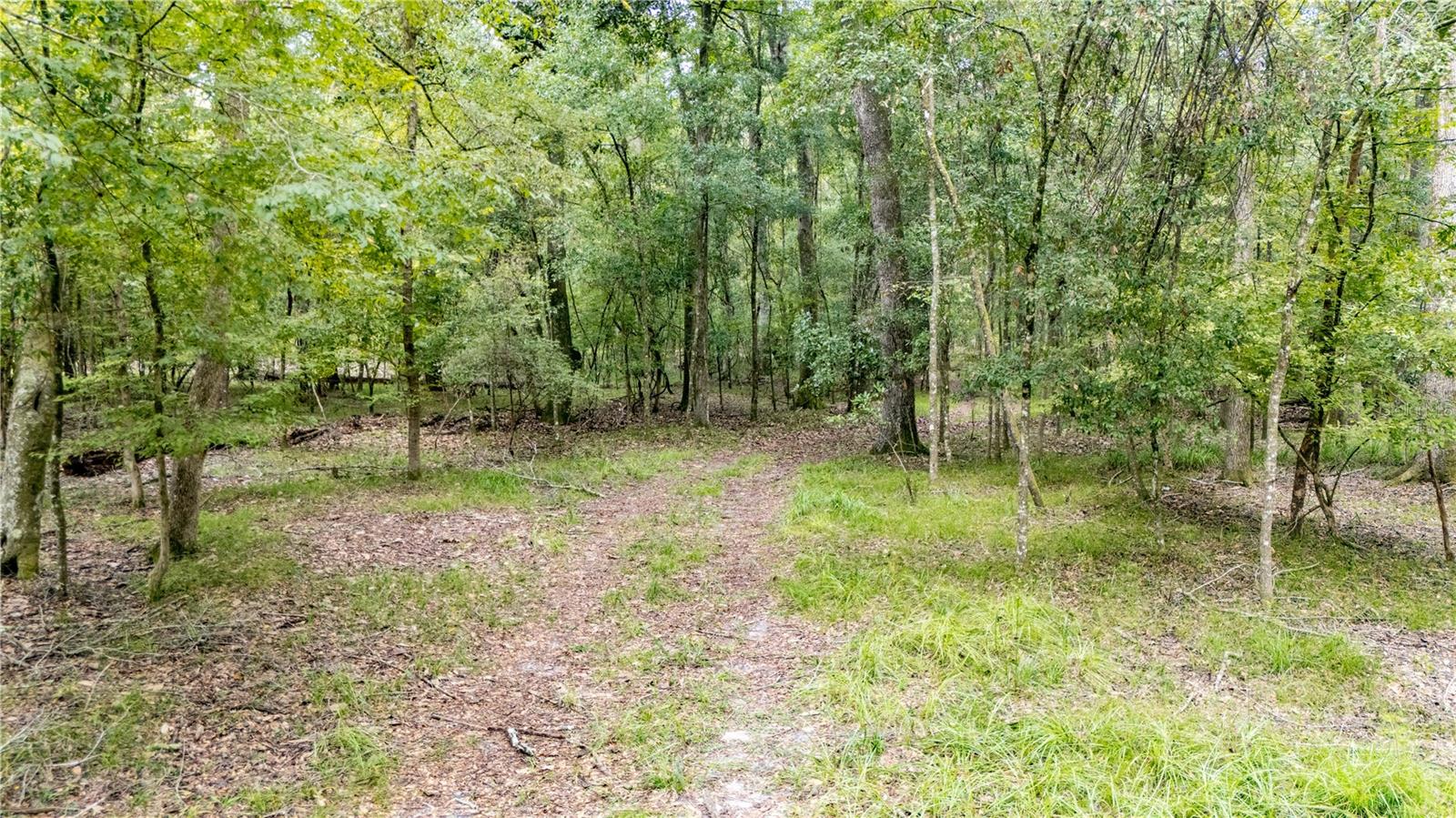 Image 4 of 24 For 26840 206th Place