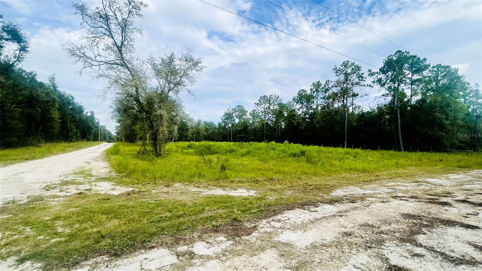 Image 2 of 5 For Lot 217 96th St